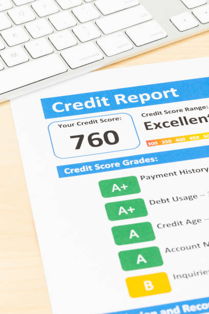 Credit Check Services for Businesses